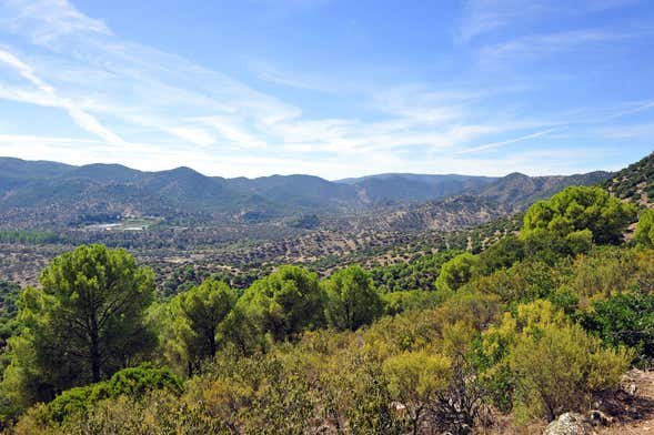 Tour en 4x4 por la Sierra de Andújar