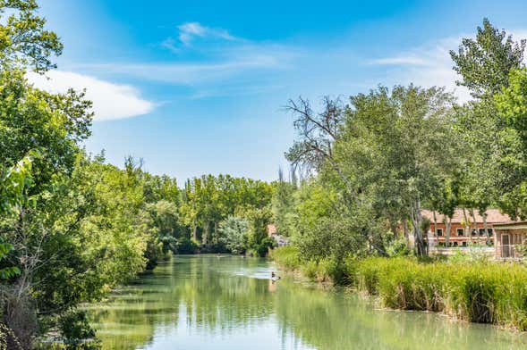 Paseo en barco por Aranjuez