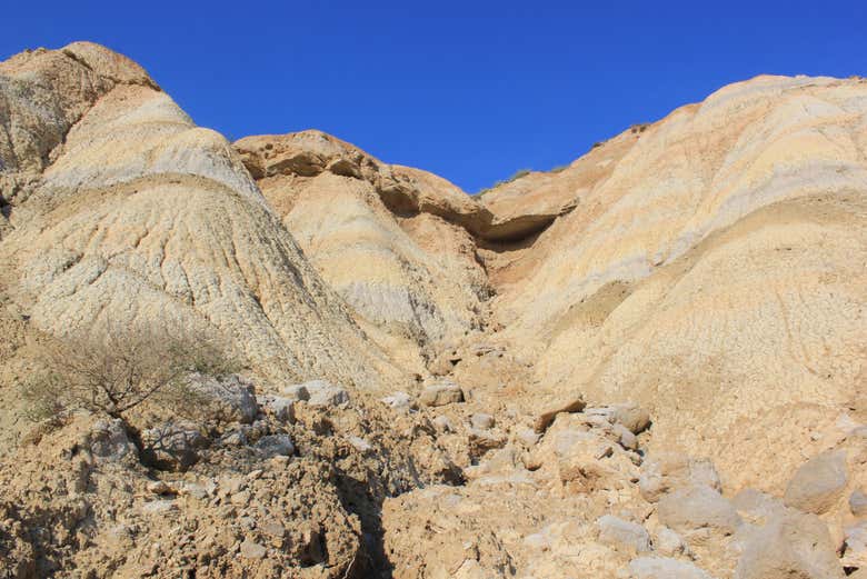 Bardenas Reales Guided Tour From Arguedas - Book At Civitatis.com