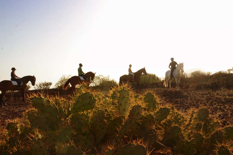 Profitez de la balade à cheval