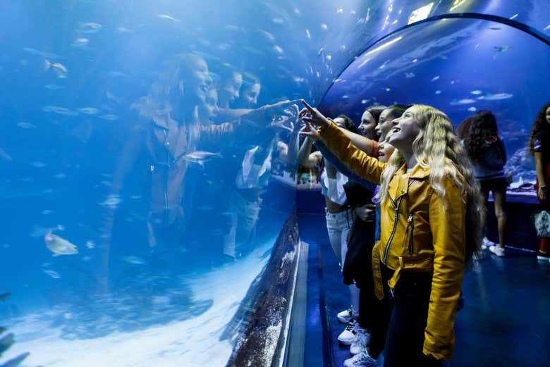 Disfrutando de la visita por Atlantis Aquarium