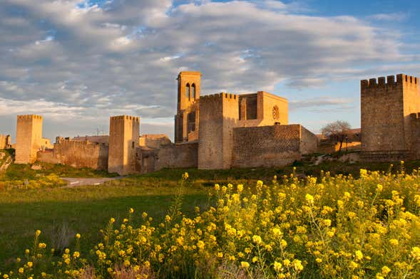 Tour por el Cerco de Artajona + Tejado de Berachico