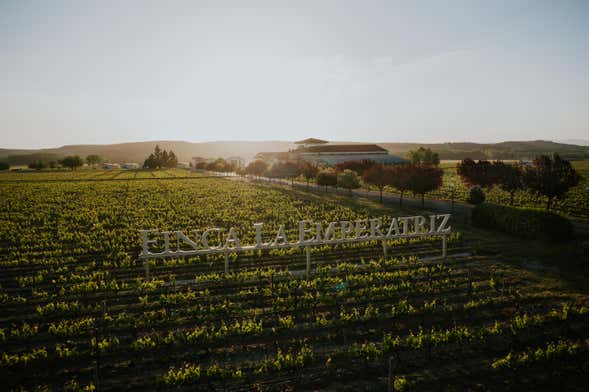 Visita al viñedo de la Finca La Emperatriz