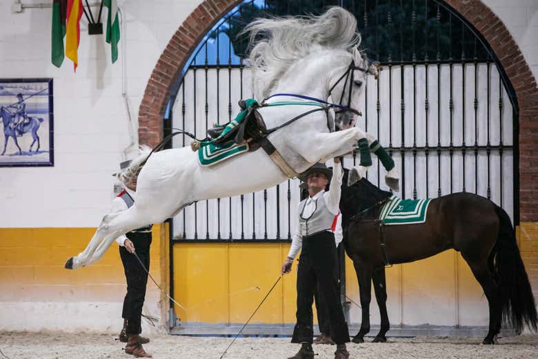 Un caballo saltando en El Ranchito