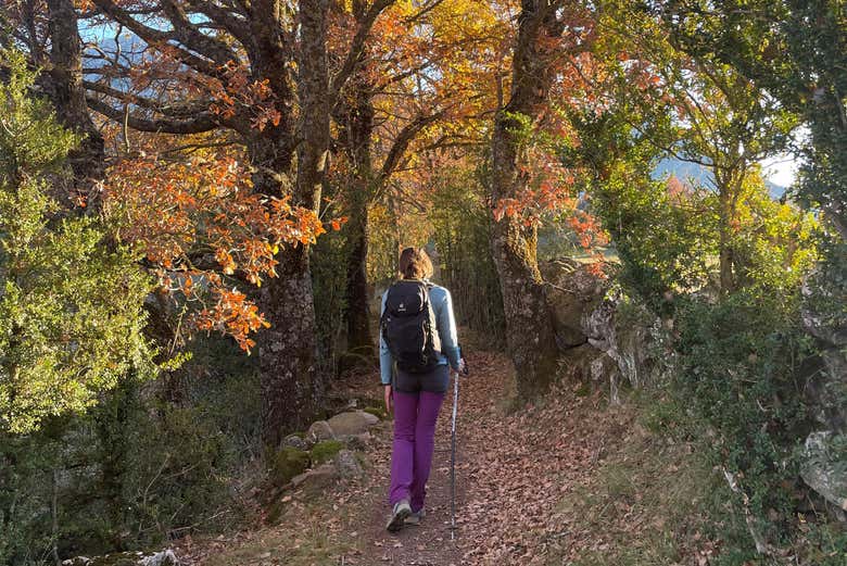 Ruta de senderismo por los Pirineos