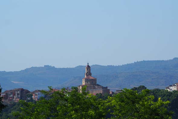 Borjas Blancas Guided Visit