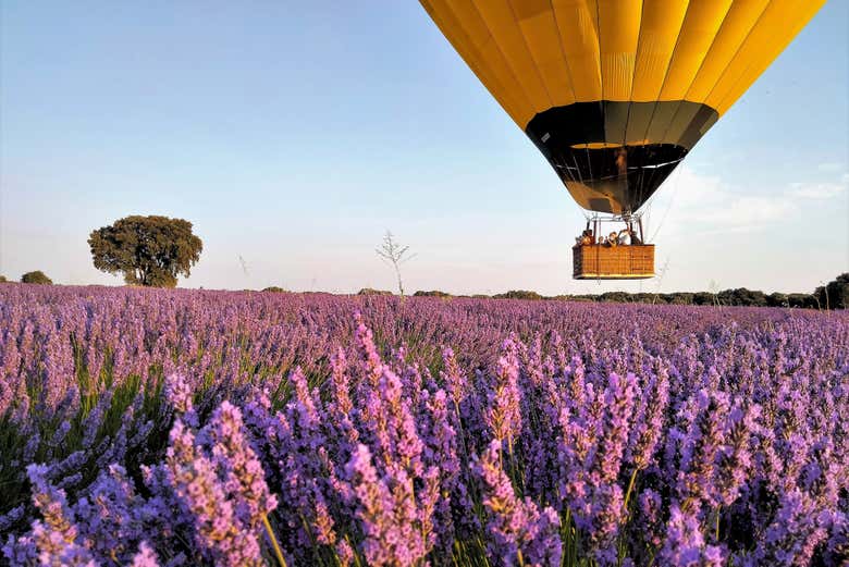 Hot Air Balloon ride in Brihuega