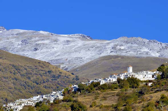 Paseo a caballo por la Alpujarra