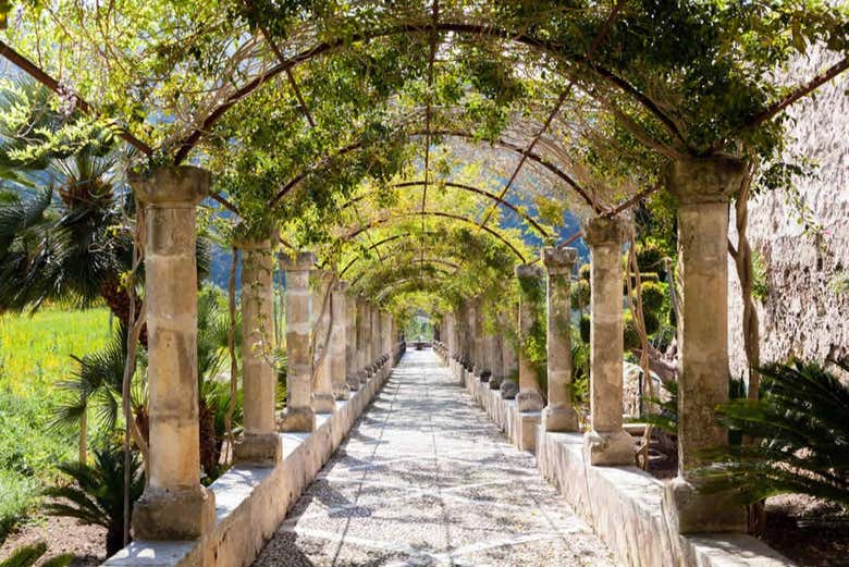 Explore the Jardines de Alfabia