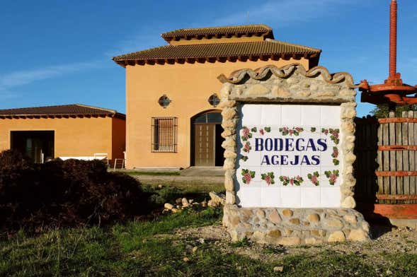 Visita guidata delle cantine Agejas