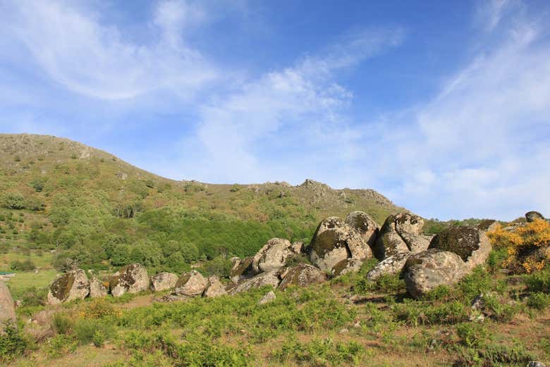 Vestigios vetones en el bosque de Cabezabellosa