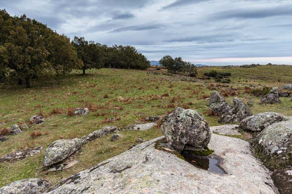 Senderismo por el bosque vetón de Cabezabellosa