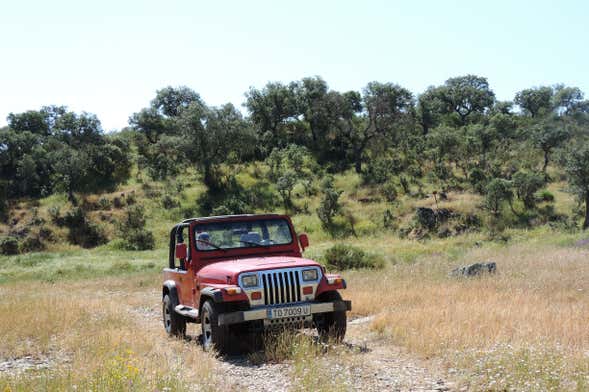 Balade en 4x4 dans la Sierra de San Pedro