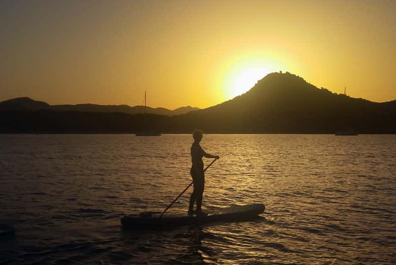 Ua ragazza sulla tavola da paddle surf al tramonto