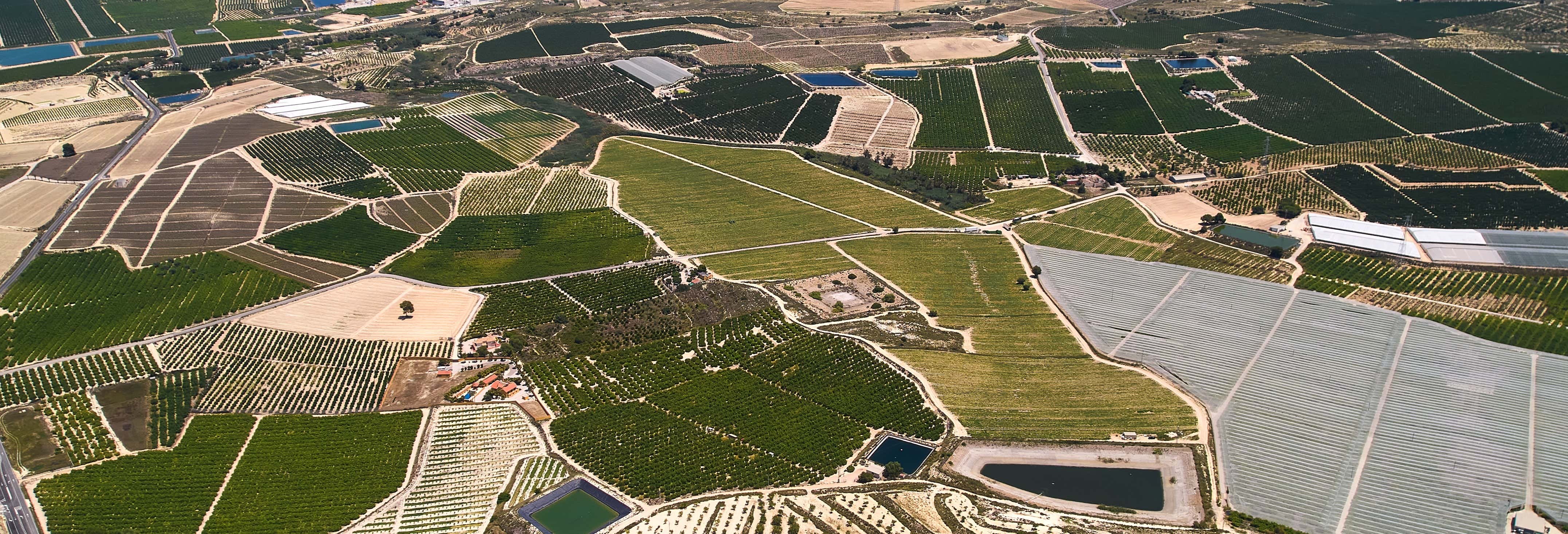 Callosa de Segura