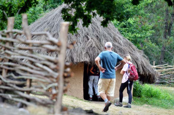 Visita guiada pelo Parque Arqueológico de Campo Lameiro