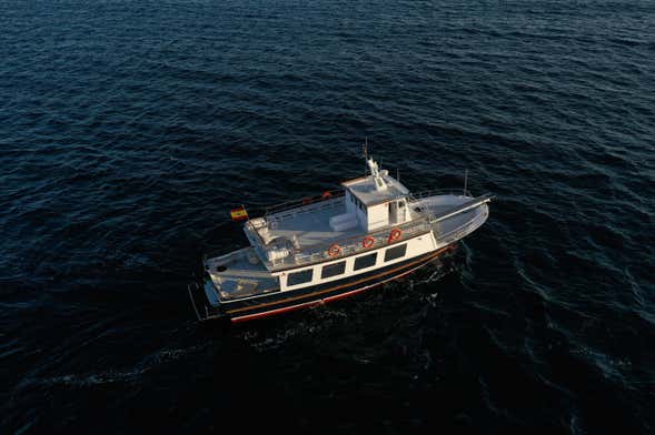 Bay of Palma Night Boat Tour