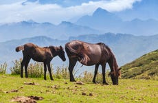 Pienzu Peak Hiking Tour