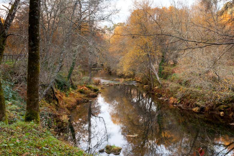 Pasearemos por las orillas del río Arenteiro 