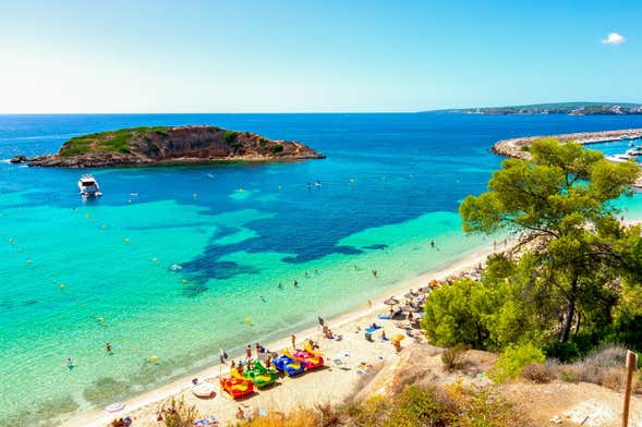 Diving in Cala Portals Nous