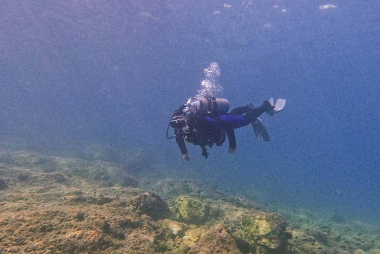 Descubriendo la biodiversidad de Cala Portals Nous