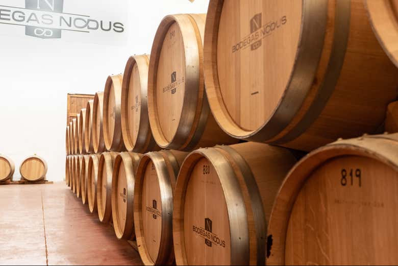 Explore the inside of Bodegas Nodus