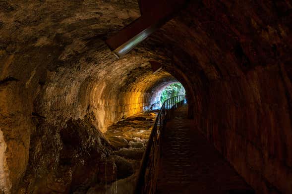 Cazorla Guided Tour + Olive Oil Tasting