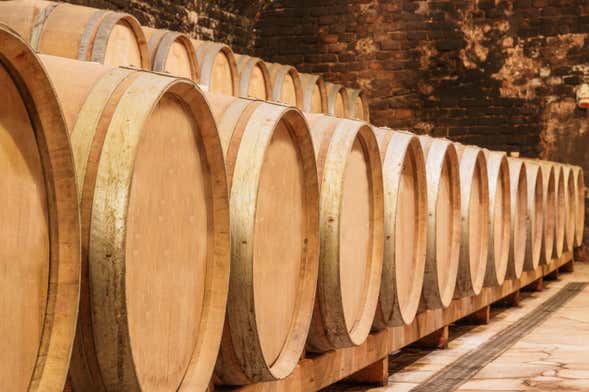 Visita a Bodegas Riojanas con degustación de vino