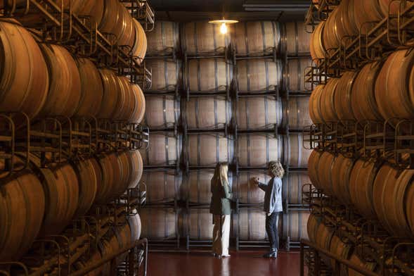 Visita a las bodegas Marqués de Cáceres