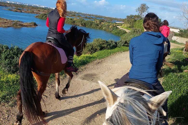 Go horseback riding along Coto de la Isla