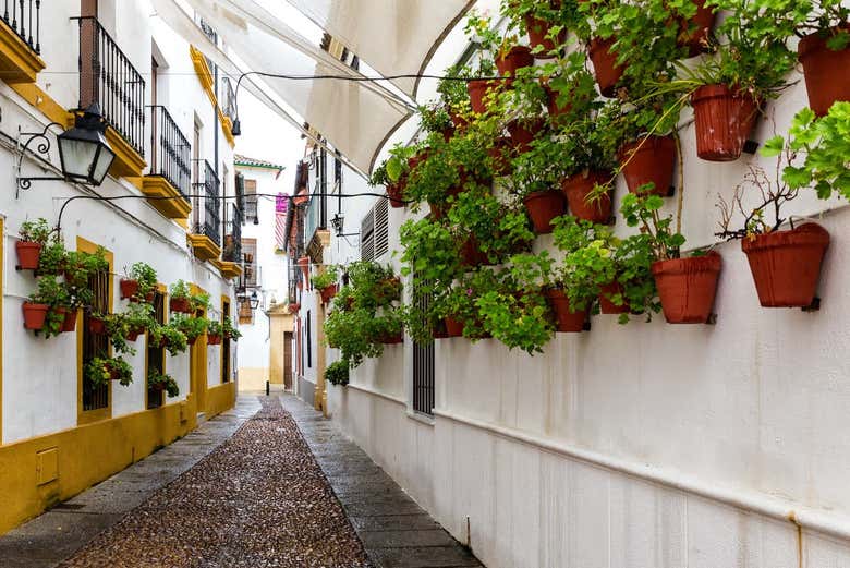 Exploring the narrow streets of the Jewish Quarter