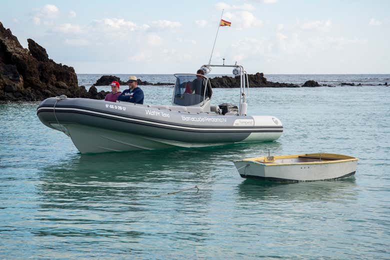 Journey to Lobos Island