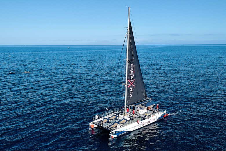 Catamarán ecológico