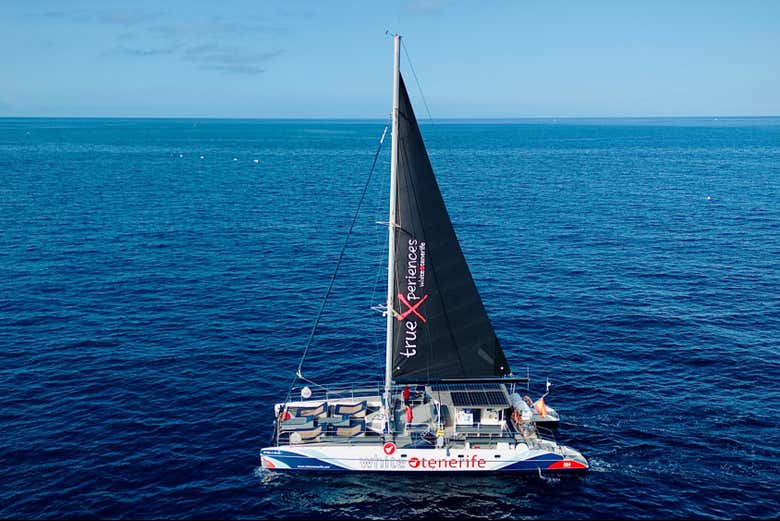 Set sail on an eco-catamaran!