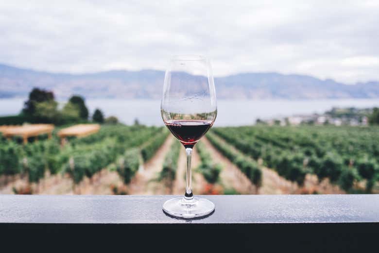 Una copa de vino tinto con los viñedos de fondo