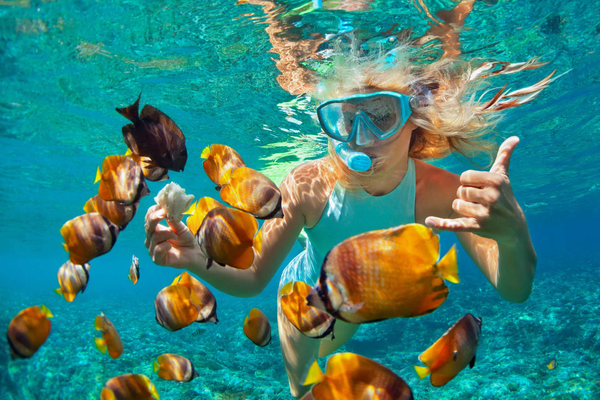 Snorkeling Experience at Pared de El Palmar in Tenerife, Costa Adeje