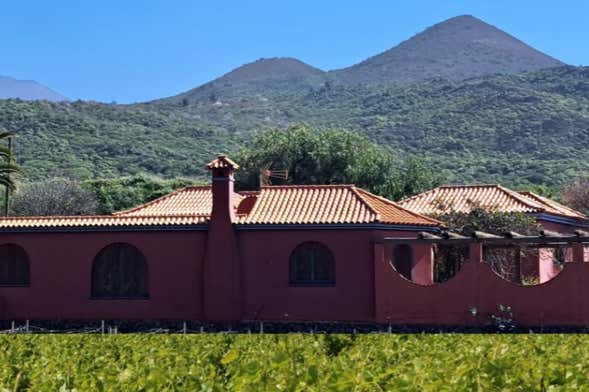 Tour del vino por el sur de Tenerife