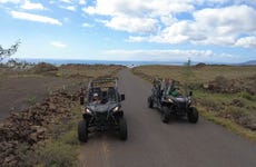 Los Volcanes Natural Park Buggy Tour