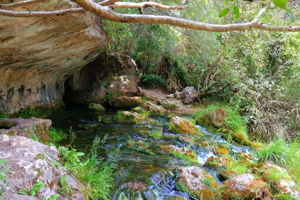 Excursión al Río Cuervo y Callejones de las Majadas