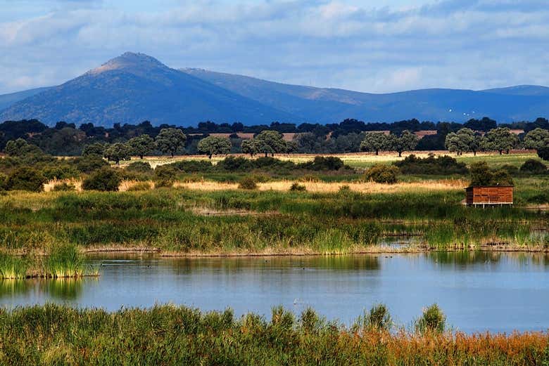 Parque Nacional Tablas de Daimiel