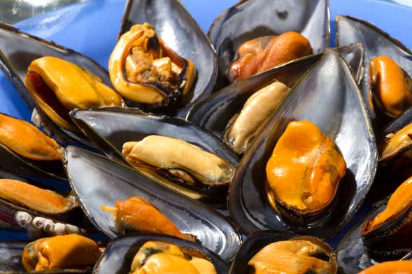 River Ebro Seafood Workshop + Mussel Tasting