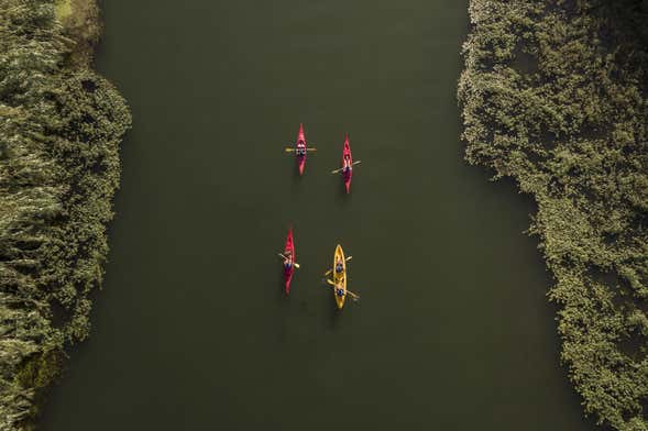 Tour en kayak a la isla de Gracia