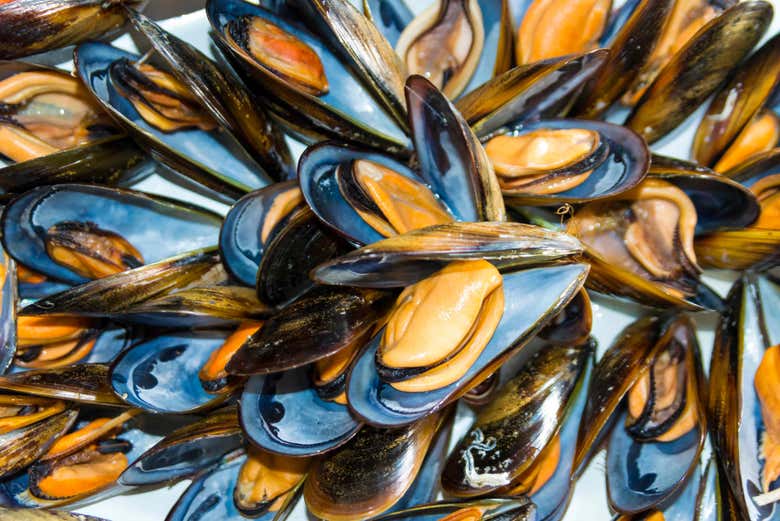 Mussels