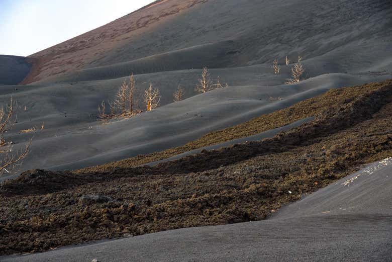 Learn about the 2021 Tajogaite Volcano eruption