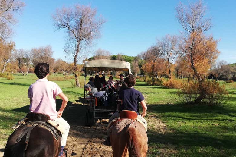 Ruta en calesa por Doñana