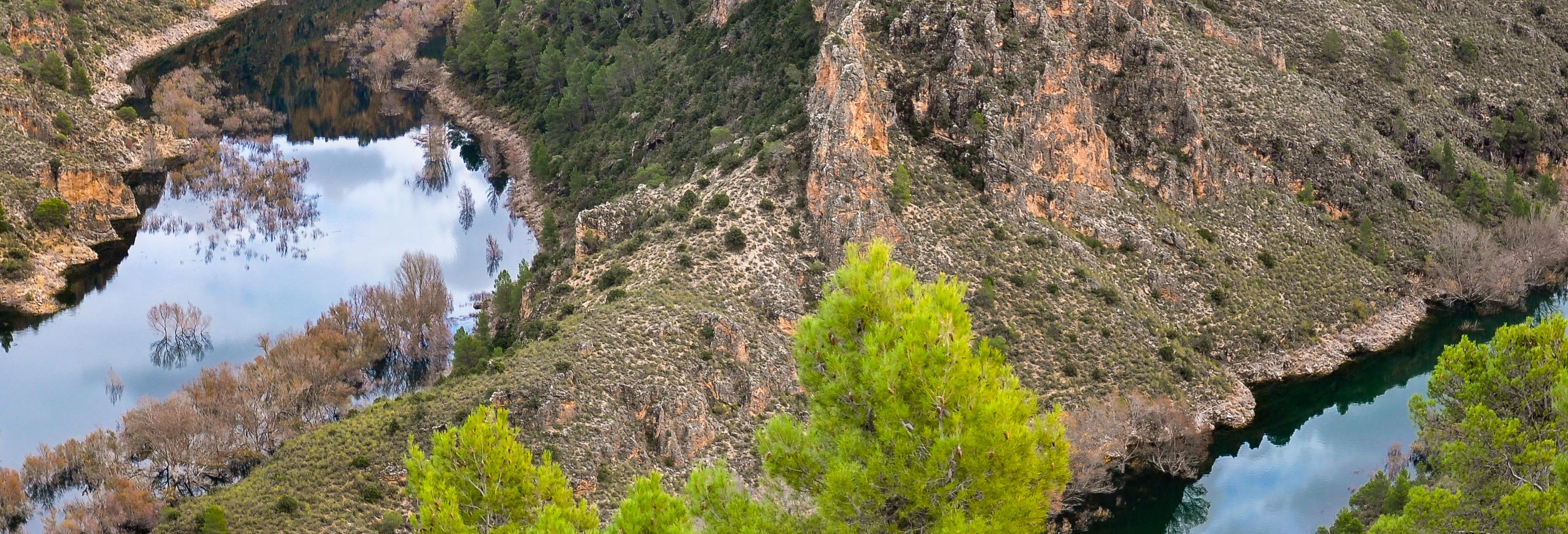 Elche de la Sierra