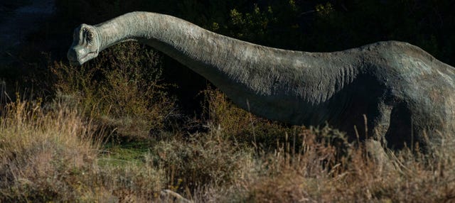 Ruta de los dinosaurios por Enciso - Reserva en 