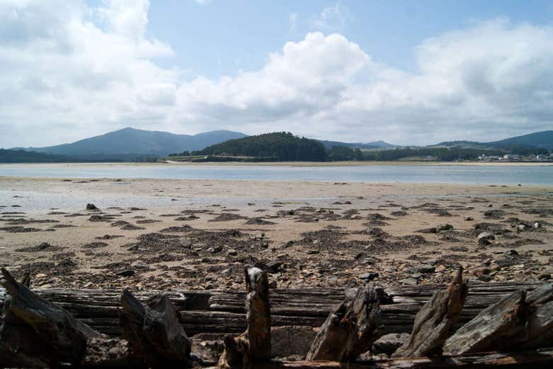 Views of the estuary from the shore