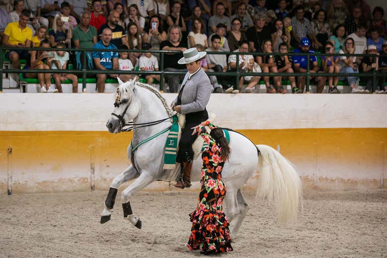 Un caballo bailando junto a una flamenca