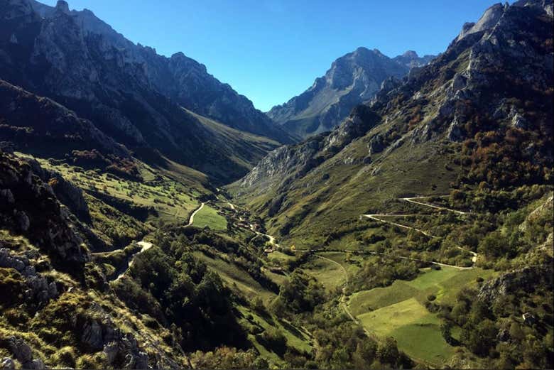 Tour Del Queso De Cabrales Por Asturias Desde Gijón - Civitatis